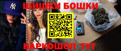 шишки Обь