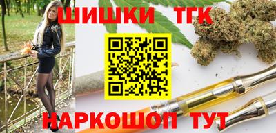 шишки Обь