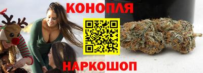 шишки Обь