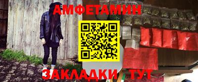 шишки Обь