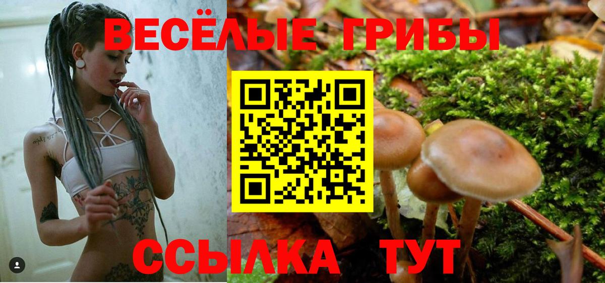 цены   Галлюциногенные грибы мицелий  Вход с VPN  Сыктывкар 